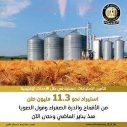 مصر إتخذت إجراءات استباقية للأزمات الإقليمية الراهنه