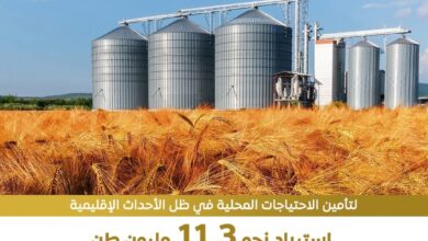 مصر  إتخذت إجراءات استباقية للأزمات الإقليمية الراهنه