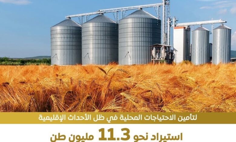 مصر إتخذت إجراءات استباقية للأزمات الإقليمية الراهنه