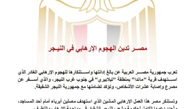 مصــر تدين الهجوم الإرهابي في النيـجر