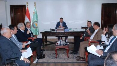 فاروق: استقرار الأمن الغذائي بين مصر ودول القارة السمراء