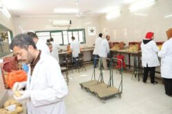"الزراعة" تعلن فحص أكثر من 1.3 مليون طن بطاطس مائدة معدة للتصدير للخارج