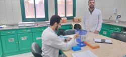"الزراعة" تعلن فحص أكثر من 1.3 مليون طن بطاطس مائدة معدة للتصدير إلى الخارج