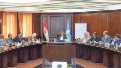 محافظ الإسكندرية يتابع التجهيزات النهائية لاستقبال عيد الأضحى المبارك