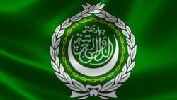 الجامعة العربية تدعو إلى تبني سياسات وطنية تراعي احتياجات الشباب 