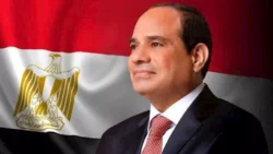 الرئيس السيسي يؤكد أهمية مشروعات البتروكيماوت والصناعات التعدينية