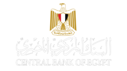 البنك المركزي: إصدار العديد من التعليمات الرقابية