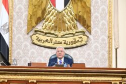رئيس النواب يعلن تلقيه بسحب مشروع قانون تنظيم المراكز الطبية المتخصصة