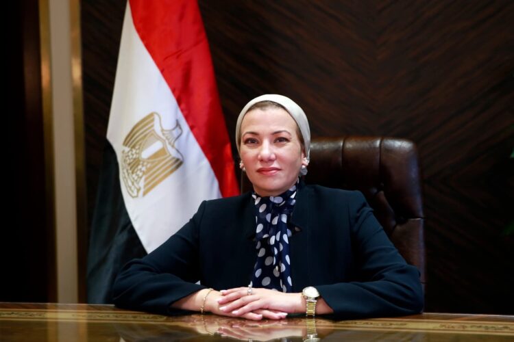 رئيس الوزراء: قبول إستقالة وزيرة البيئة وتكليف "منال عوض" بتسيير مهام الوزارة