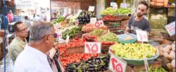 محافظ الإسكندرية وجولة ميدانية موسعة بنطاق حي شرق والمنتزه أول.