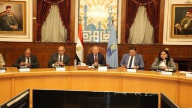 محافظة القاهرة ترفع حالة الطوارئ استعدادًا لانتخابات الشيوخ.. ولجان مجهزة لاستقبال الناخبين