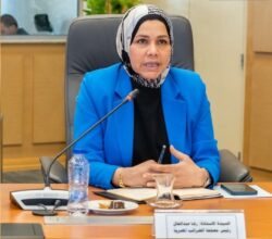 منصة للحوار المستدام بين جمعية رجال الأعمال المصريين الأفارقة ووزارة المالية