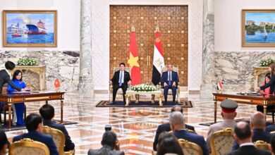 تعزيز التنمية الاقتصادية بين جمهورية مصر العربية ودولة فتنام.