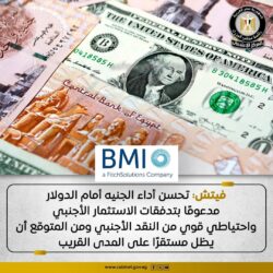 أشادت وكالة فيتش بتحسن أداء الجنيه أمام الدولار.