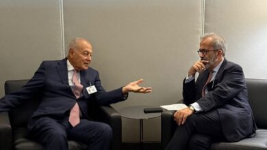 أبو الغيط ووزير خارجية البرتغال يؤكدان أن حل الدولتين يظل الأساس الوحيد للسلام بالشرق الأوسط.