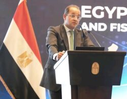 المالية فى حوار مفتوح وممتد مع أعضاء غرفة التجارة الأمريكية بالقاهرة.