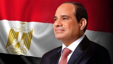 الرئيس السيسي يتابع سير العمل المشترك بين وزارتي الكهرباء والبترول وجهاز "مستقبل مصر"