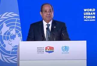 مصر في عهد السيسي تعيد ترسيخ انتمائها الإفريقي