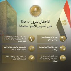 المنظمة الخارجية مصر تؤكد التزامها الكامل بمبادئ ميثاق الأمم المتحدة