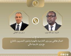 إتصال هاتفي بين وزير الخارجية ونظيره المالي.