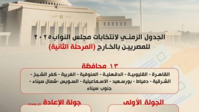 تصويت المصريين بالخارج في المرحلة الثانية من إنتخابات مجلس النواب بعد غداً