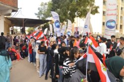 انتخابات النواب : من ميادين الكفاح إلى صناديق الاقتراع المرأة المصرية تواصل صناعة التاريخ.