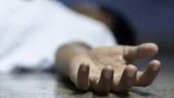 تفاصيل واقعة مقتل ميكانيكي علي يد زوجته في الإسكندرية