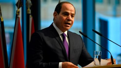 الرئيس السيسي يتدخل لحماية نزاهة الانتخابات.. والأحزاب تصطف خلف قراراته.
