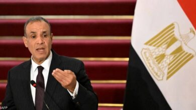 وزير الخارجية مصر تلقت 3 عروض لتهجير غزة ورفضتها جميعاً