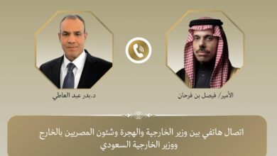 وزيرا خارجية مصر والسعودية يؤكدان أهمية وقف إطلاق النار في غزة
