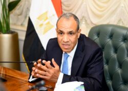 وزير الخارجية يستعرض رؤية مصر للأمن والتنمية بأفريقيا