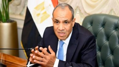 وزير خارجية مصر لنظيره التنزاني مشروع سد جوليوس نيريري نموذج للتعاون