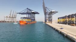 اليوم تشغيل محطة هاتشيسون بالسخنة في إطار توجيهات الرئيس لتطوير الموانئ المصرية