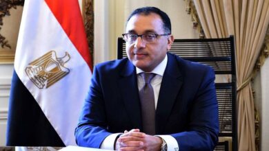 مجلس الوزراء: حماية حرية الصحافة ثابتة والتشديد على جرائم الشائعات ضرورة