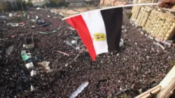 مريم مصطفى تكتب | 25 يناير.. ثورة خرجت من الوجع وصنعت ذاكرة وطن