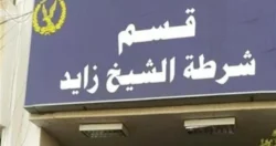 بعد بلاغ ناصر البرنس ضد زوجته.. اتهام بالسرقة وعقوبات مشددة تنتظر الجاني بالقانون