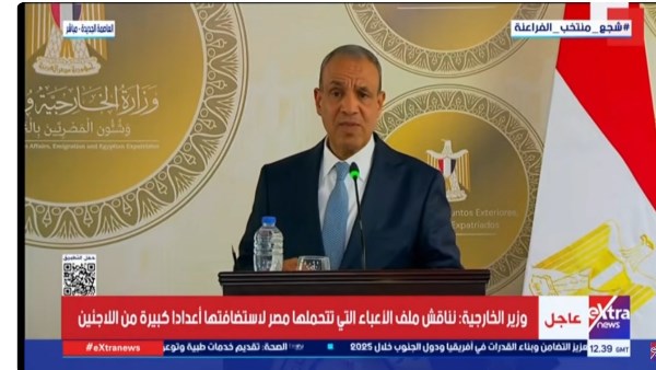 وزير الخارجية مصر لن تتوانى في الدفاع عن مصالحها الوجودية