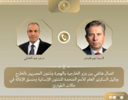 وزير الخارجية: ضرورة تكثيف الجهود الدولية لضمان النفاذ الكامل للمساعدات الإنسانية والطبية لغزة