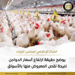 حقيقة ارتفاع أسعار الدواجن نتيجة نقص المعروض منها بالأسواق