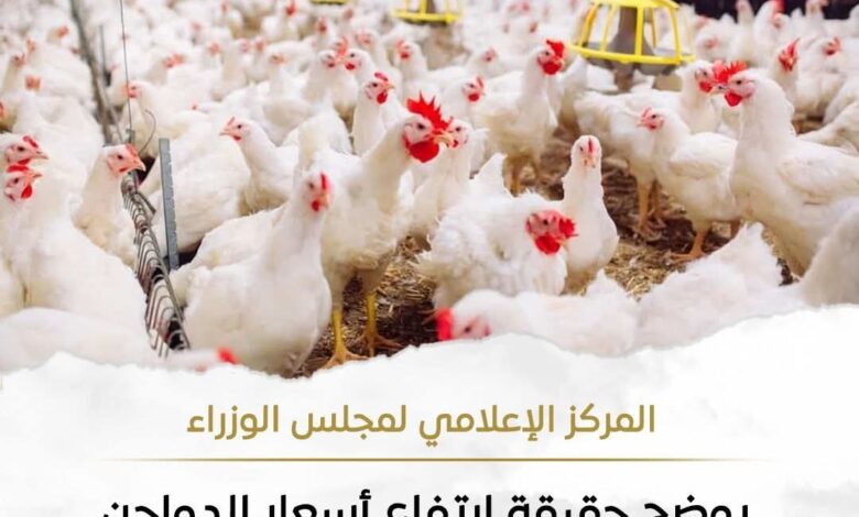 حقيقة ارتفاع أسعار الدواجن نتيجة نقص المعروض منها بالأسواق