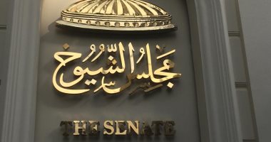 لجنة الشيوخ توصية برلمانية رسمية بحجب منصة الألعاب "روبلوكس" لحماية النشء