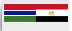 الرئيس السيسي ونظيره الجامبي يؤكدان أهمية تعزيز العلاقات الاقتصادية والتنموية والتعليمية