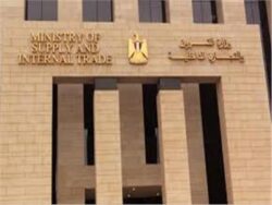 الرئيس السيسي يوجه بصرف دعم إضافي على بطاقات التموين للفئات الأولى بالرعاية