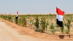 وزير الزراعة يتفقد مشروعات تنموية بشمال سيناء