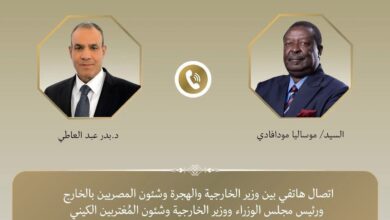 "اتصال هاتفي بين وزير الخارجية ونظيره الكيني"