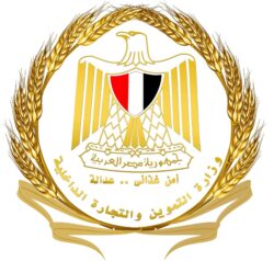 الدكتور علاء ناجي أكد توافر الدواجن المجمدة حاليًا بكميات كبيرة