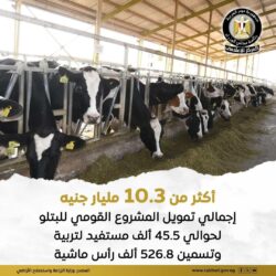 الزراعة: تواصل دعم المشروع القومي للبتلو