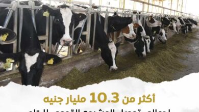 الزراعة: تواصل دعم المشروع القومي للبتلو