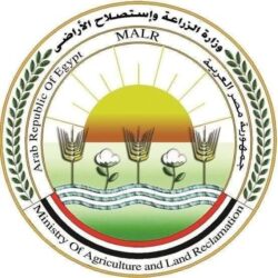 الزراعة: تحصين 12,665 كلبًا حرًا وتعقيم 1,593 منذ يناير 2026