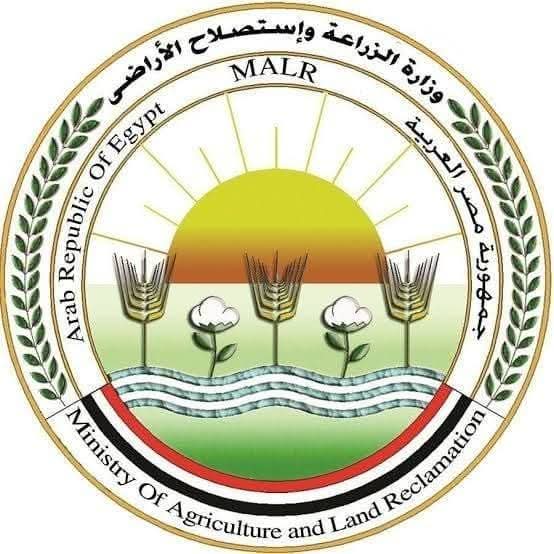 الزراعة": تحصين 12,665 كلب حر وتعقيم 1,593 منذ يناير ضمن الحملة القومية لمكافحة مرض السعار